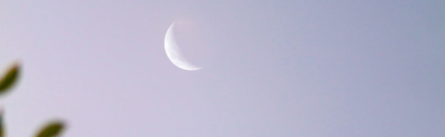 ส่วนบนสุดของเว็บไซต์