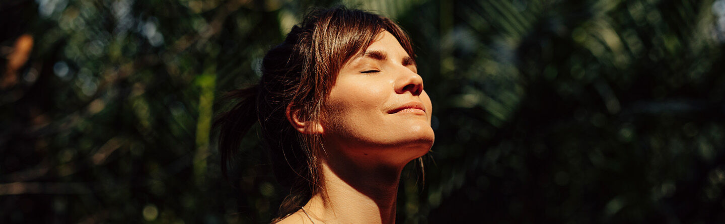 ส่วนบนสุดของเว็บไซต์