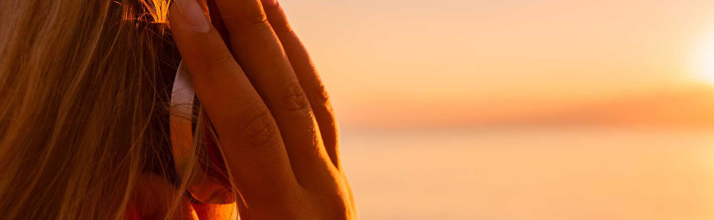 ส่วนบนสุดของเว็บไซต์