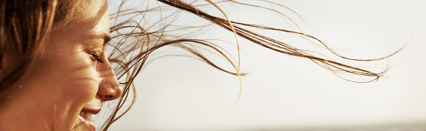 ส่วนบนสุดของเว็บไซต์