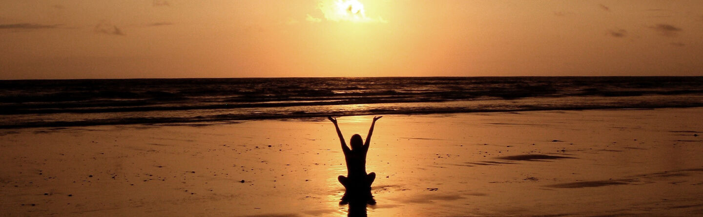 ส่วนบนสุดของเว็บไซต์