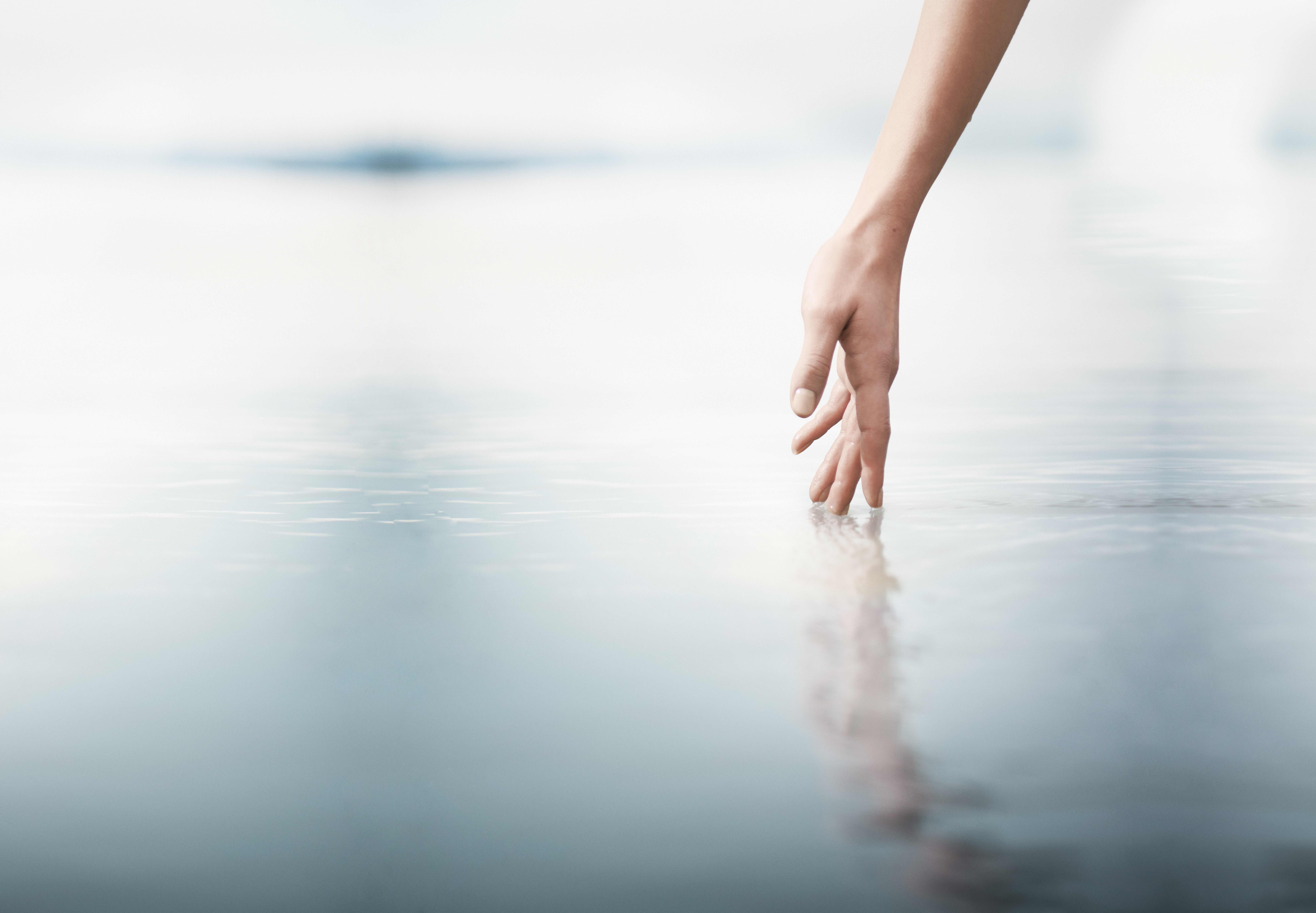 ส่วนบนสุดของเว็บไซต์