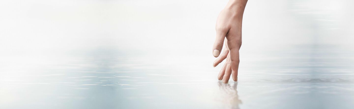 ส่วนบนสุดของเว็บไซต์