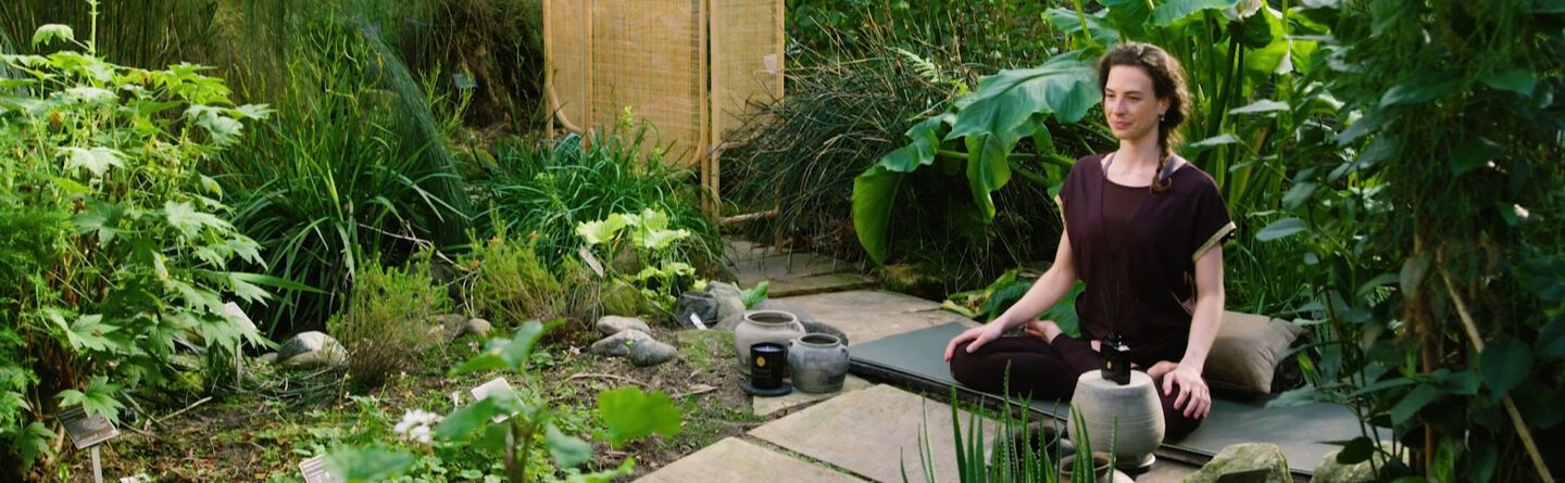 ส่วนบนสุดของเว็บไซต์