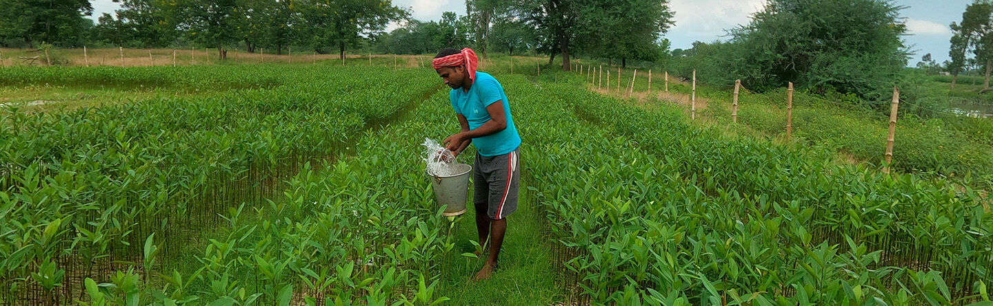 ส่วนบนสุดของเว็บไซต์