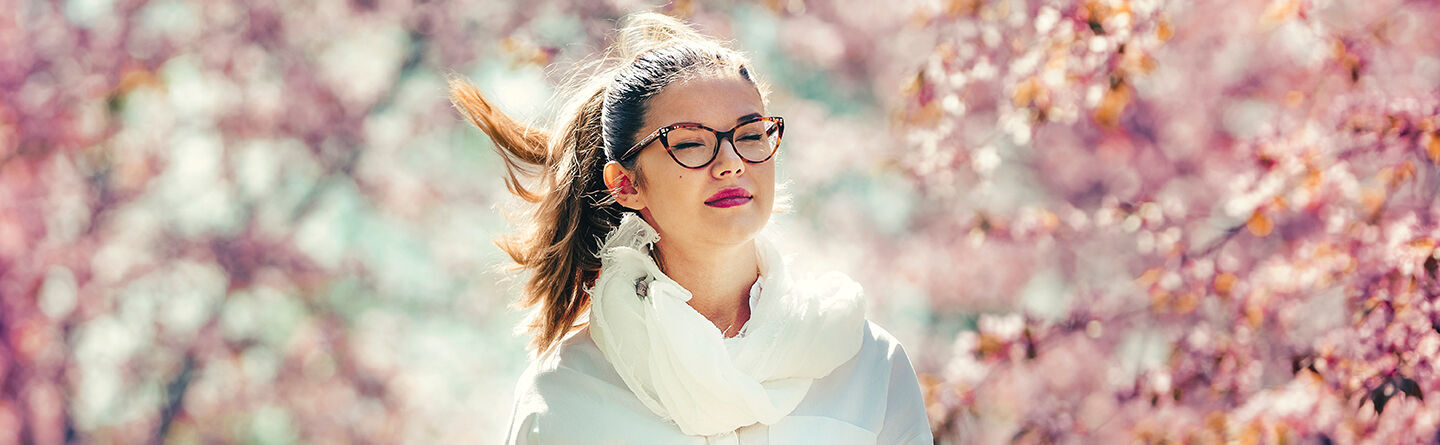 ส่วนบนสุดของเว็บไซต์