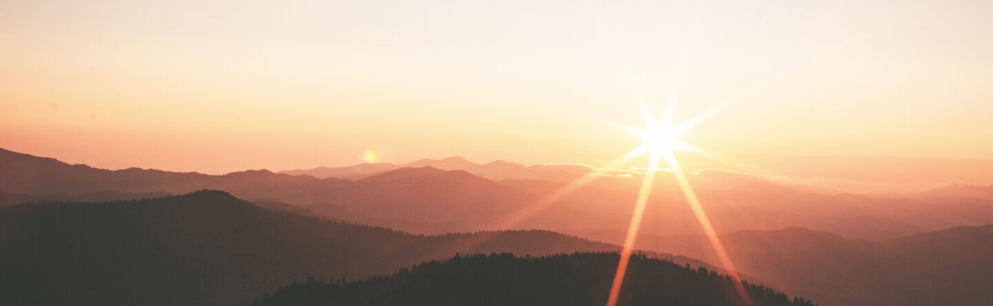 ส่วนบนสุดของเว็บไซต์