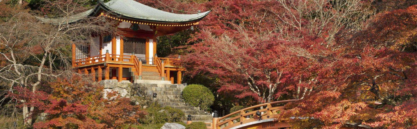 ส่วนบนสุดของเว็บไซต์