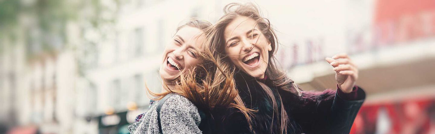 ส่วนบนสุดของเว็บไซต์