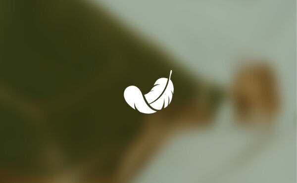 ภาพขนาดย่อ