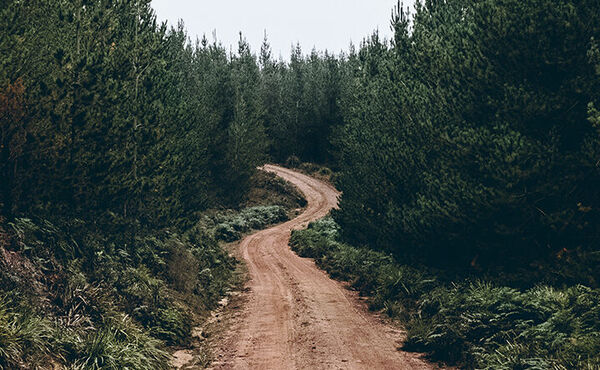 /Magazine/2022/April/soil-banner.jpg