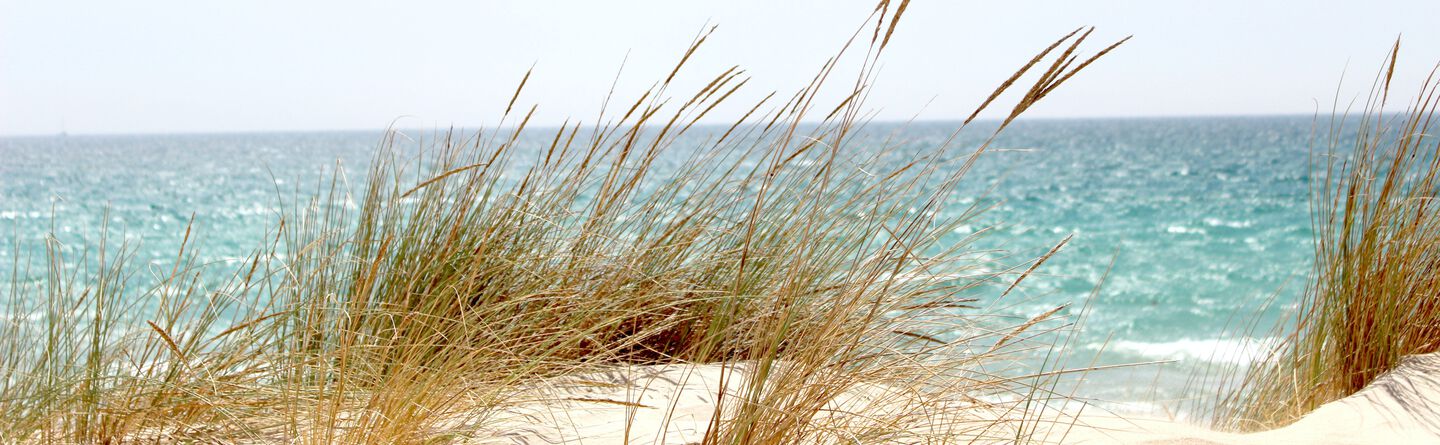 ส่วนบนสุดของเว็บไซต์