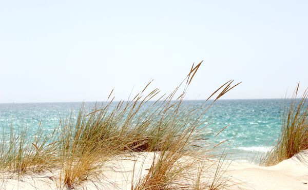 ภาพขนาดย่อ