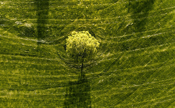 ภาพขนาดย่อ