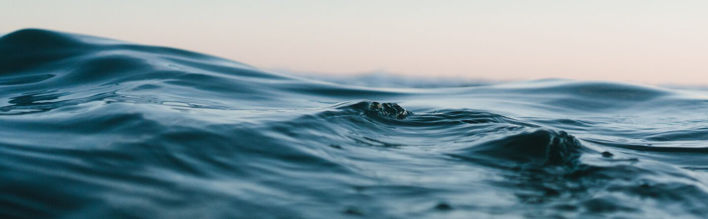 ส่วนบนสุดของเว็บไซต์