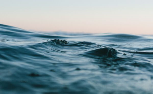 ภาพขนาดย่อ