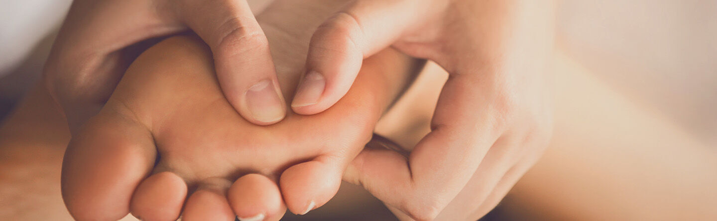 ส่วนบนสุดของเว็บไซต์