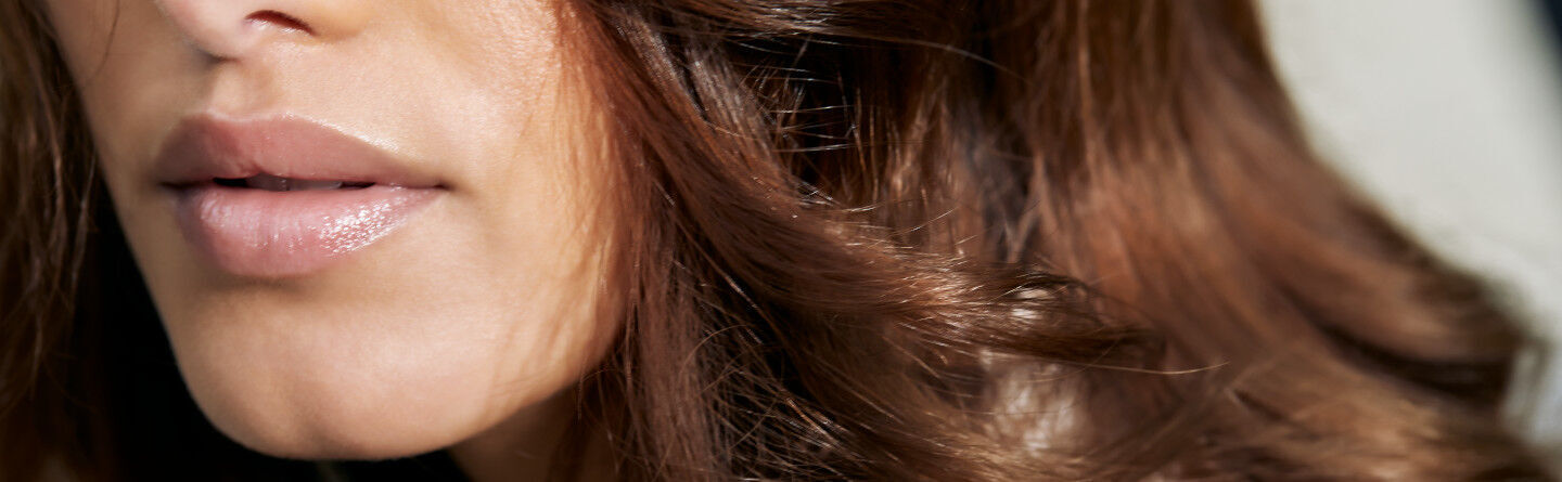 ส่วนบนสุดของเว็บไซต์