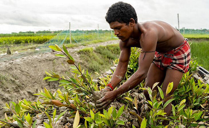 Meet the Indian communities that our tree-growing pledge is ...