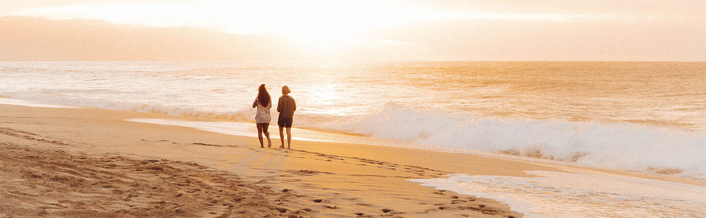 ส่วนบนสุดของเว็บไซต์