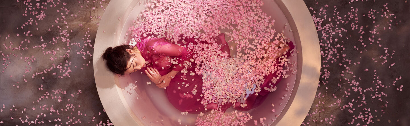 ส่วนบนสุดของเว็บไซต์