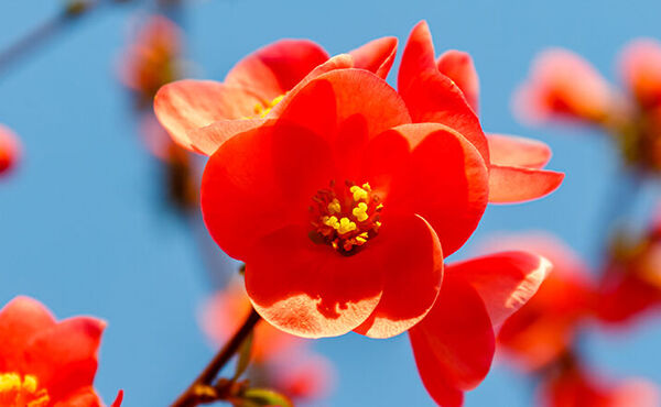 ภาพขนาดย่อ