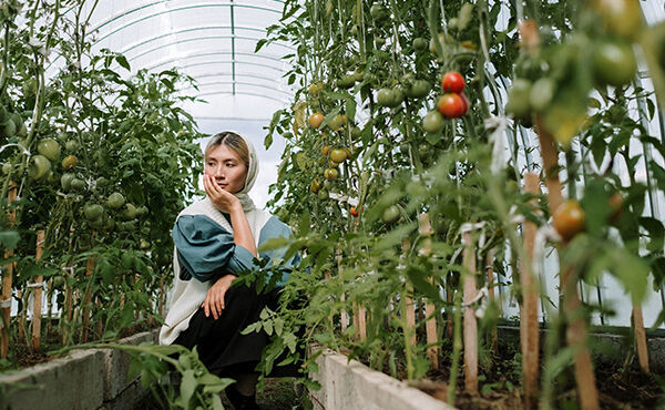 ภาพขนาดย่อ