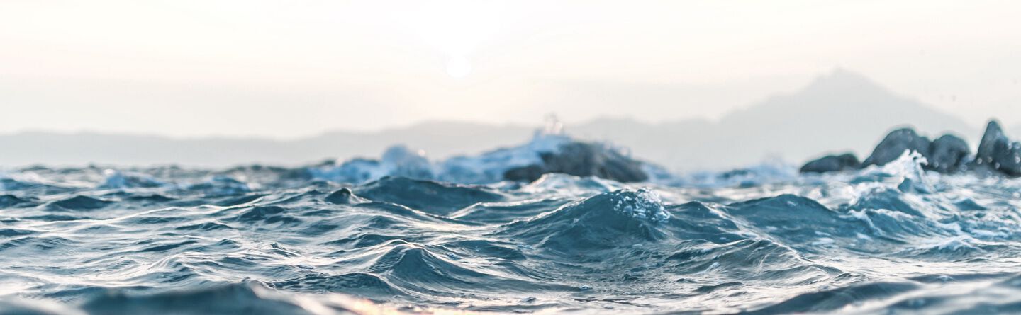 ส่วนบนสุดของเว็บไซต์