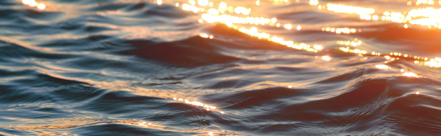 ภาพขนาดย่อ