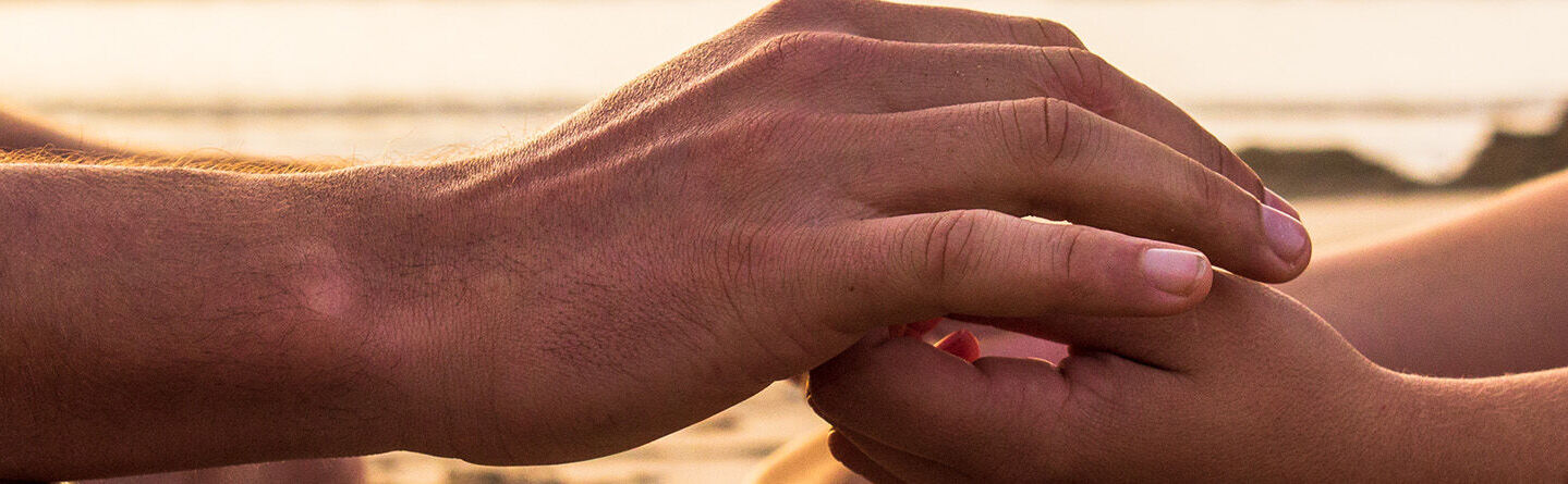 ส่วนบนสุดของเว็บไซต์