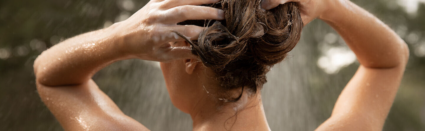 ส่วนบนสุดของเว็บไซต์