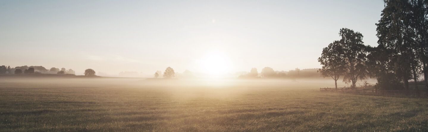 ส่วนบนสุดของเว็บไซต์