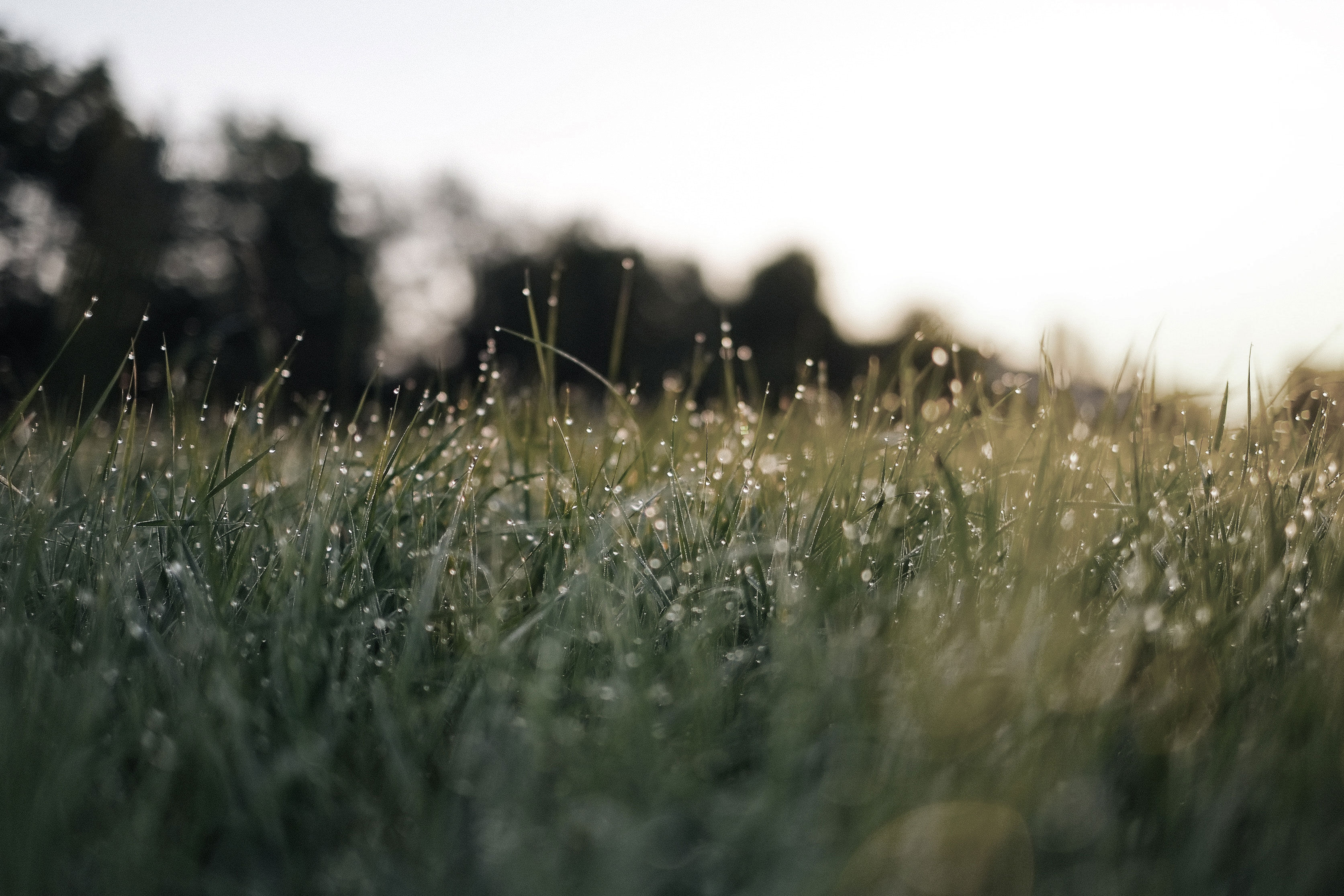 ภาพขนาดย่อ