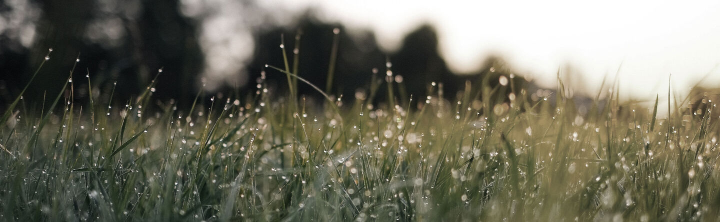 ส่วนบนสุดของเว็บไซต์