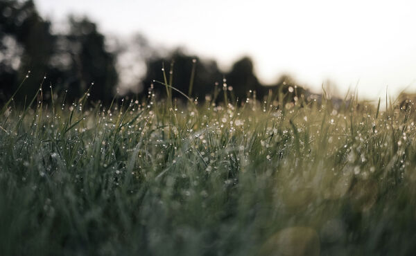 ภาพขนาดย่อ