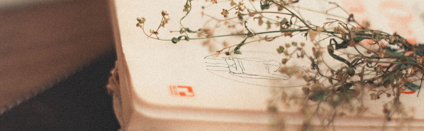 ส่วนบนสุดของเว็บไซต์