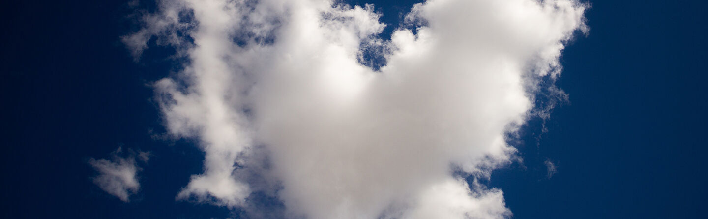 ส่วนบนสุดของเว็บไซต์