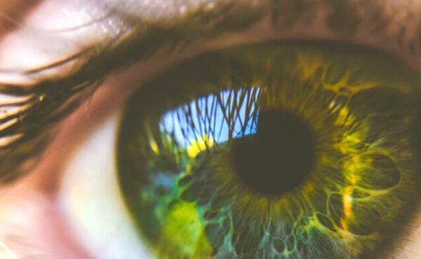 ภาพขนาดย่อ