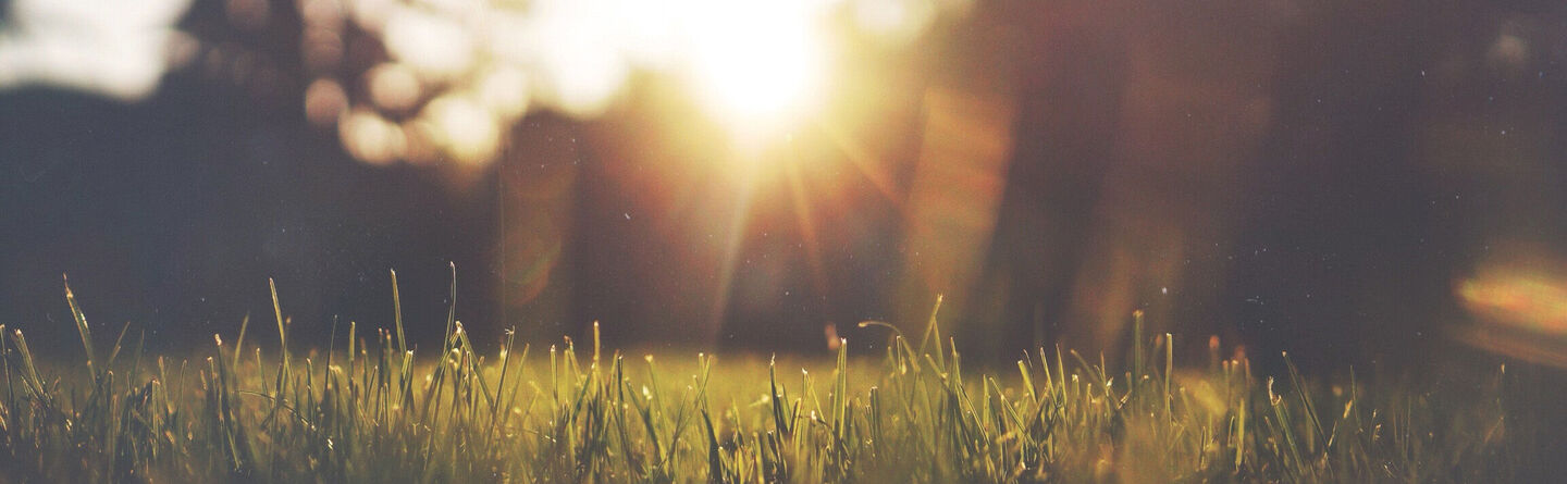 ส่วนบนสุดของเว็บไซต์